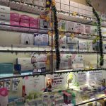 GIỚI THIỆU EBABY.VN CHI NHANH GIA LAI